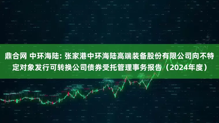 鼎合网 中环海陆: 张家港中环海陆高端装备股份有限公司向不特定对象发行可转换公司债券受托管理事务报告（2024年度）