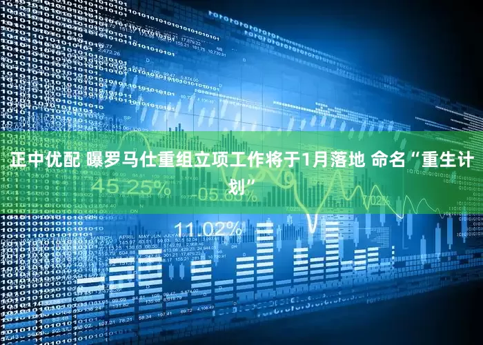 正中优配 曝罗马仕重组立项工作将于1月落地 命名“重生计划”