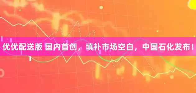 优优配送版 国内首创，填补市场空白，中国石化发布！